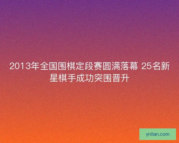 2013年全国围棋定段赛圆满落幕 25名新星棋手成功突围晋升
