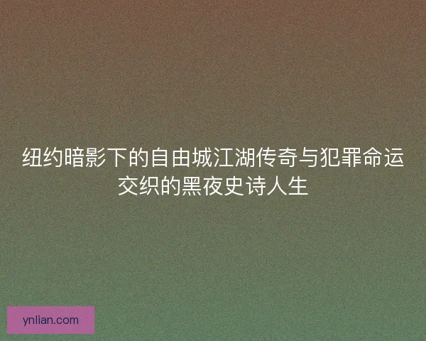 纽约暗影下的自由城江湖传奇与犯罪命运交织的黑夜史诗人生